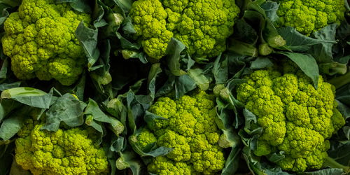 Cavoli, broccoli, verza: il menù invernale è servito